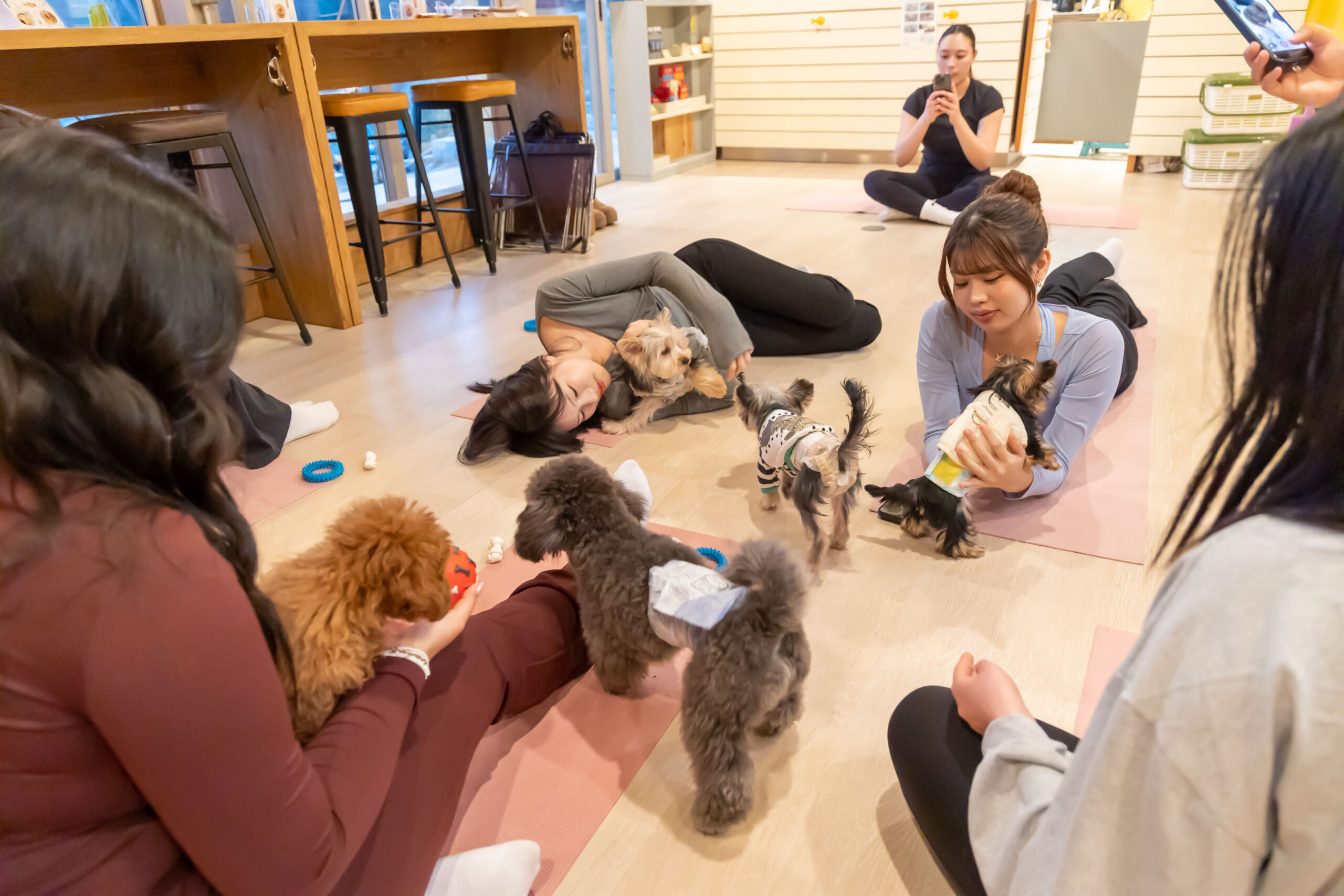 子犬たちと一緒にパピーヨガ